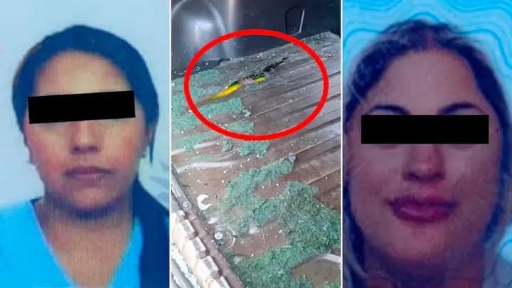 La médica de Gendarmería Nacional atrapada con cocaína la cosmetóloga, el misterio de "Xuxa" y el cocodrilo 