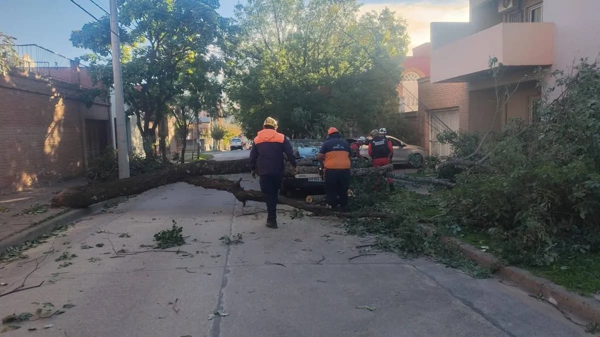 El Gobierno de Jujuy desplegó un amplio operativo ante las fuertes ráfagas de viento en la capital