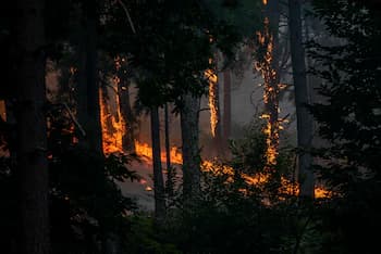 Última hora de los incendios en España y la emergencia nacional, en directo: los fuegos obligan a confinar Las Navas del Marqués (Ávila) y Santa María de la Alameda (Madrid)