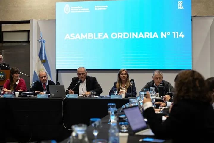 Jujuy asumió la coordinación de la Comisión de Bosques Nativos del COFEMA