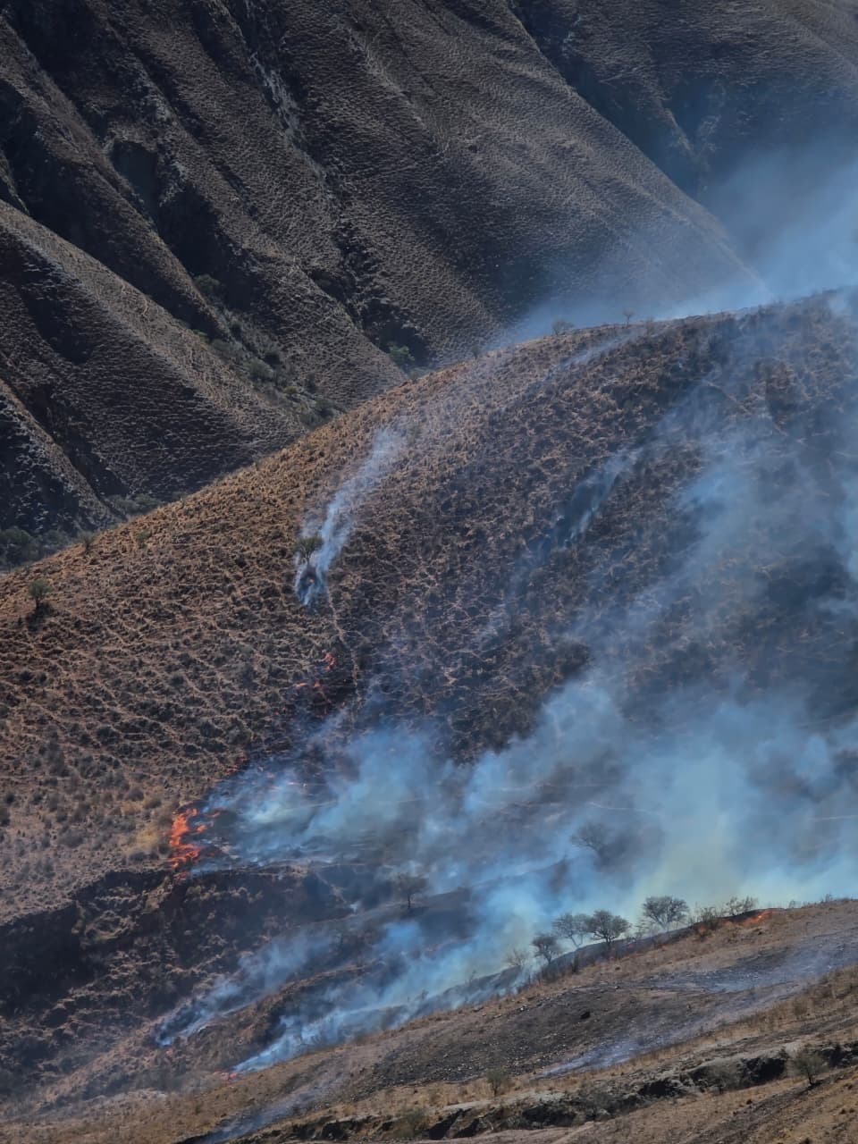 El incendio en la margen izquierda del río Chilcayoc, en Volcán, se encuentra contenido 